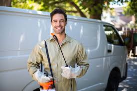 Best Termite Inspection and Treatment  in Fairmount, NY